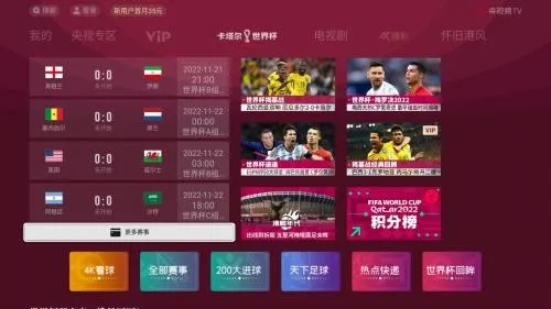 世界杯 专题 网易 世界杯2022官网-第3张图片-www.211178.com_果博福布斯