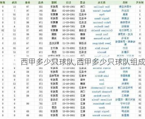 西甲球队数量 西甲联赛参赛球队总数-第2张图片-www.211178.com_果博福布斯